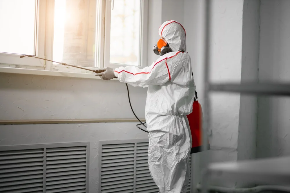 Professional mold remediation services in Barnstable, MA